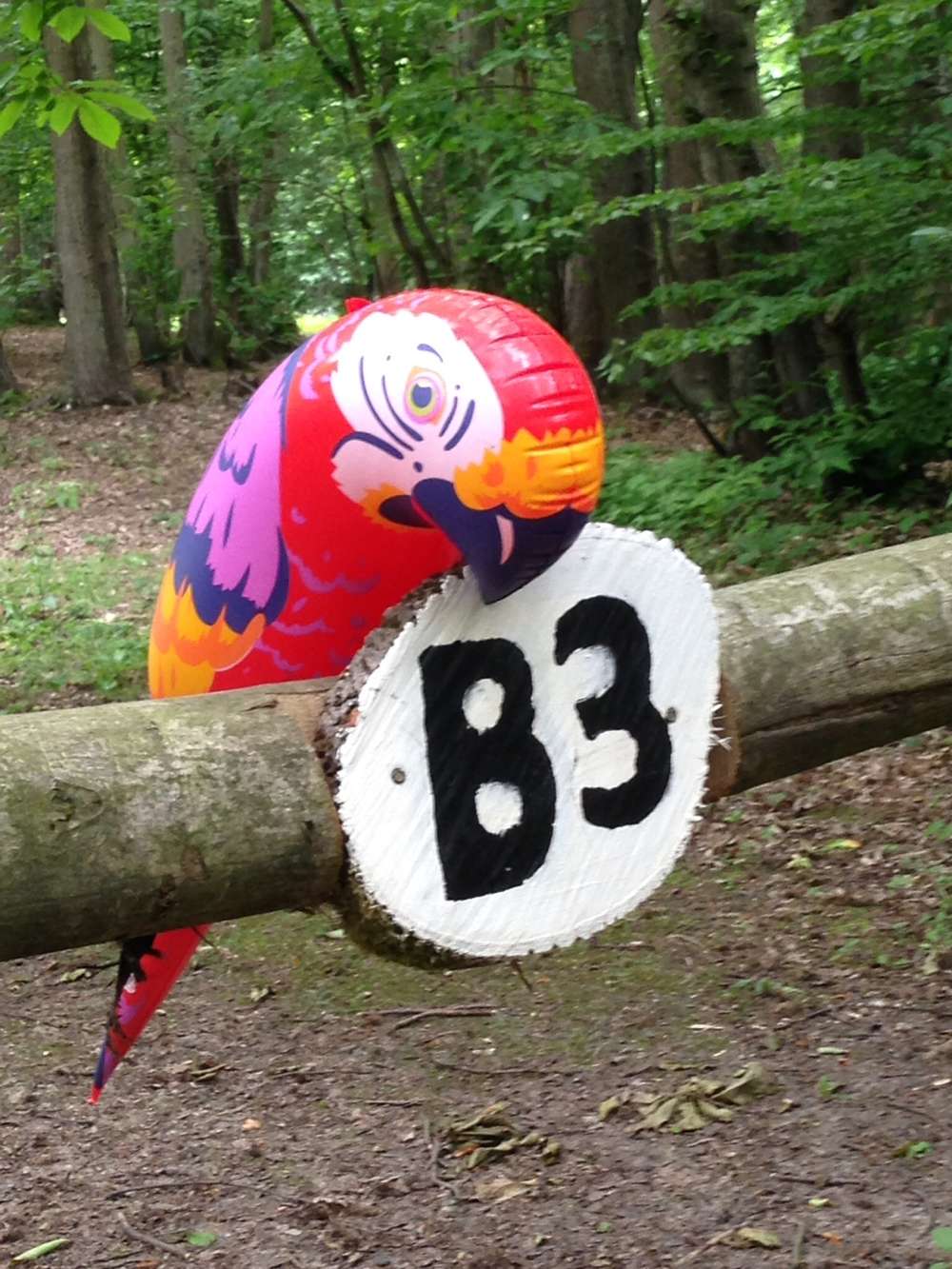 Cub and Scout Camp at Buckmore Park