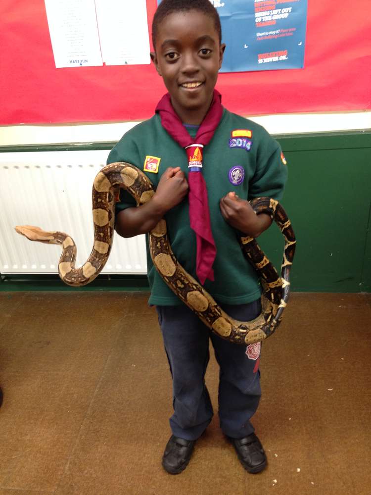 Invicta Arachnids Come to Visit